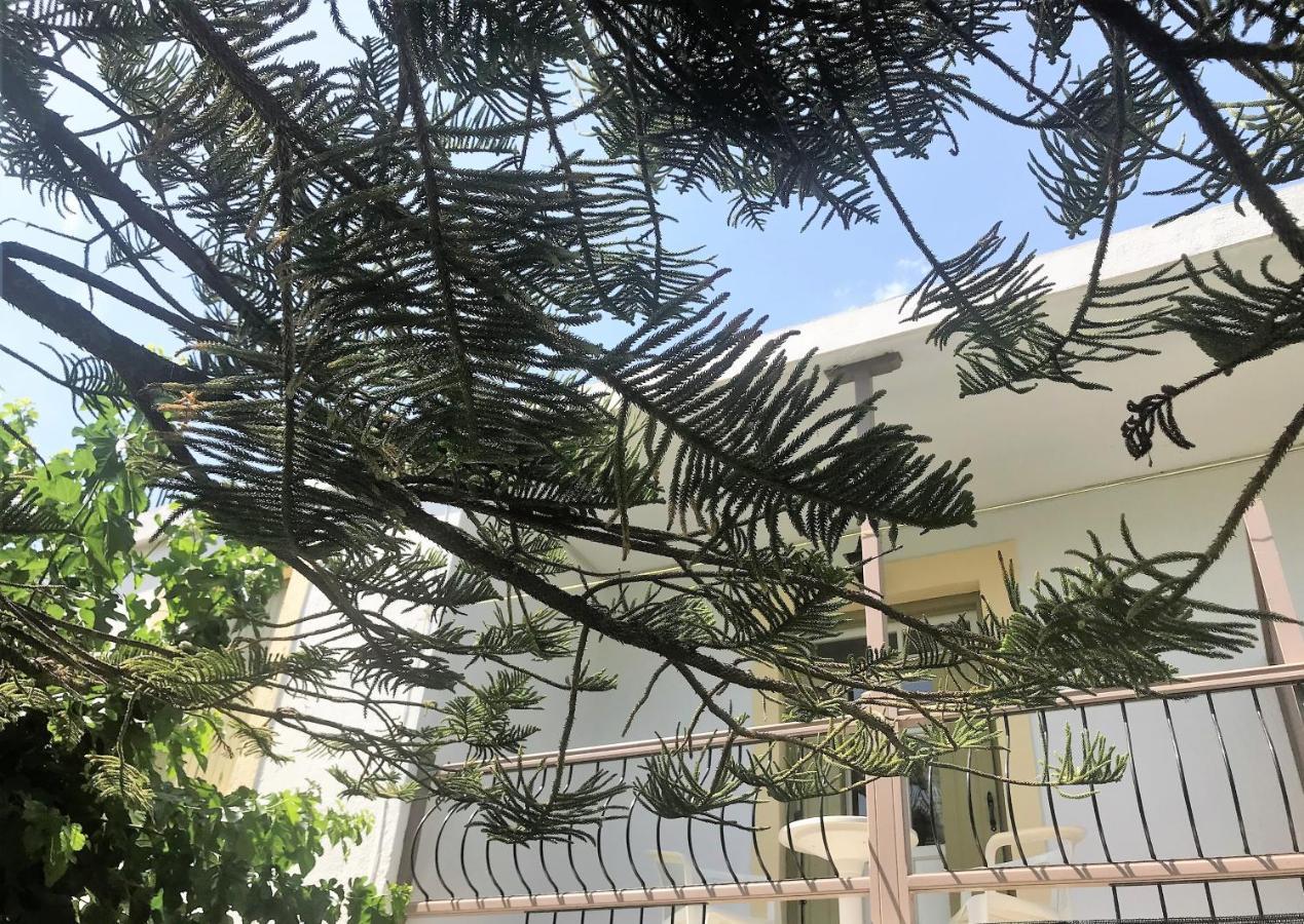 Pansion Episkopi Studios Skopelos Town Exterior photo